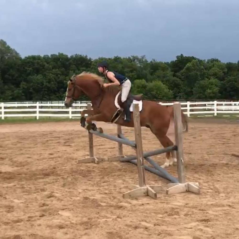 Meet your Posher, Riley